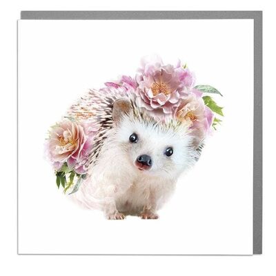 Hedgehog Card 2