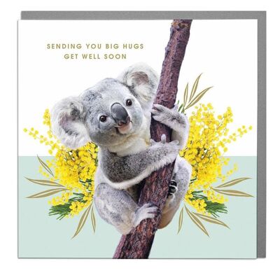 Koala Big Hugs Get Well Soon Card