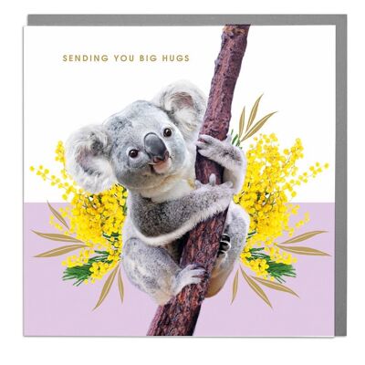 Koala Hugs Card