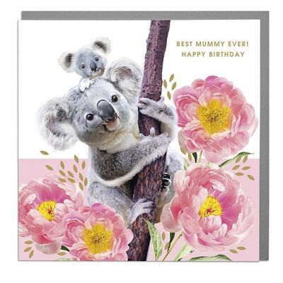 Koalas Best Mummy Birthday Card