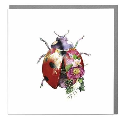 Ladybird Card