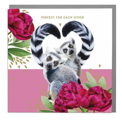 Lemurs Perfect For Each Other Happy Anniversary Card