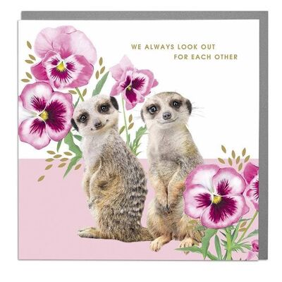 Meercats We Look Out For Each Other Card