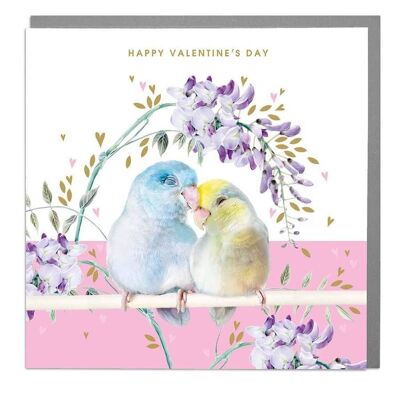 Parrolets Valentine's Day Card