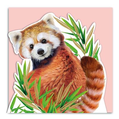 Red Panda 3D Card - Lola Design x ZSL