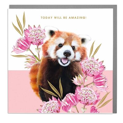 Red Panda Amazing Day Card