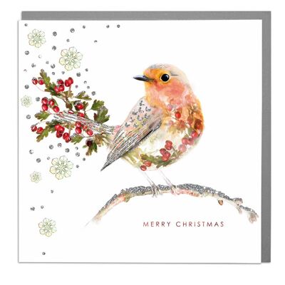 Robin Merry Christmas Card
