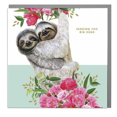 Sloths Big Hugs Get Well Soon Card