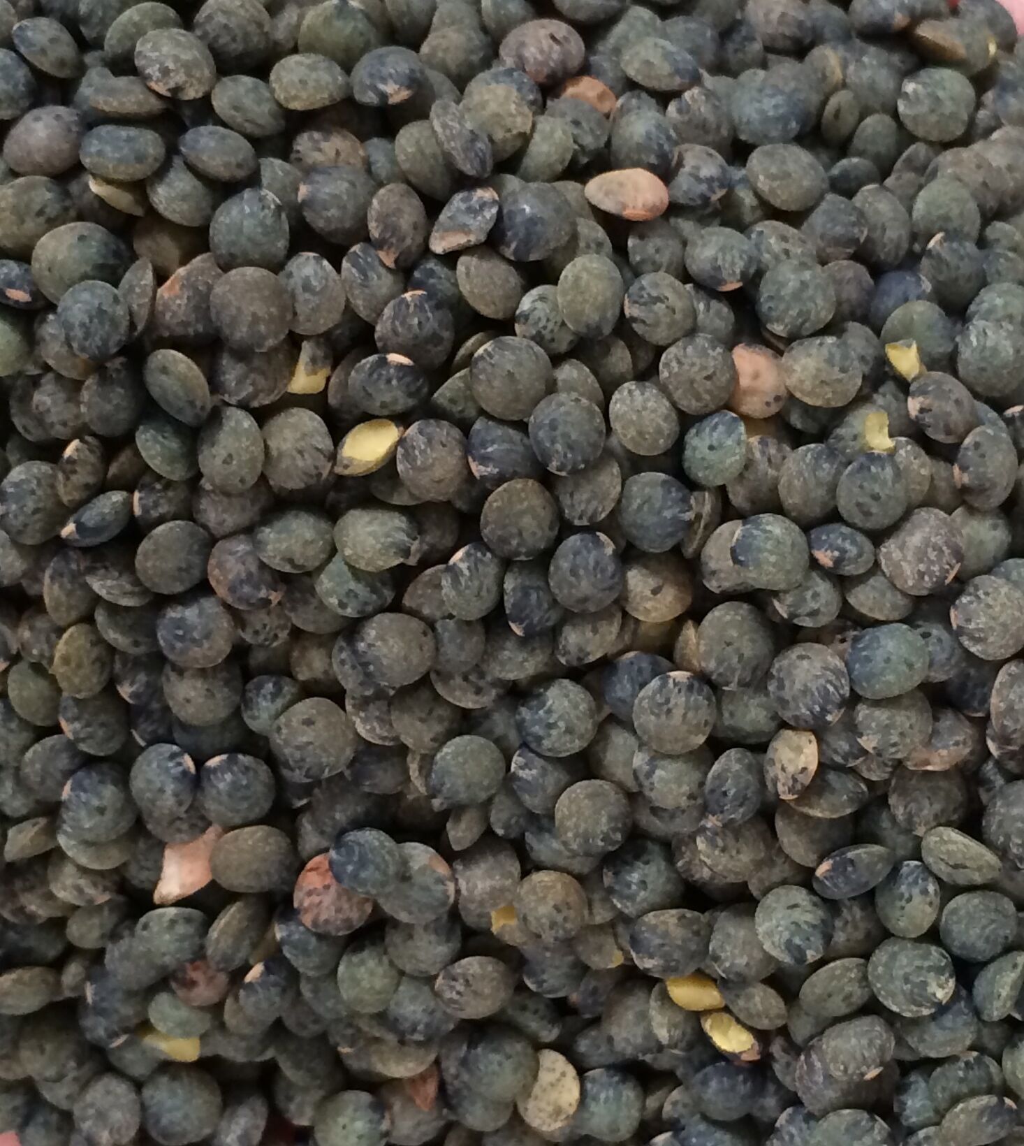 Lenticchie verdi 500 g