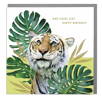 Tiger One Cool Cat Birthday Card