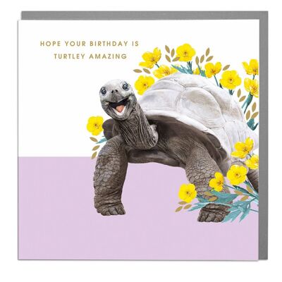 Turtley Amazing Card