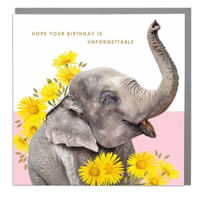 Unforgetable Birthday Elephant Card