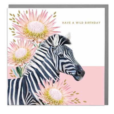 Zebra  Wild Birthday Card