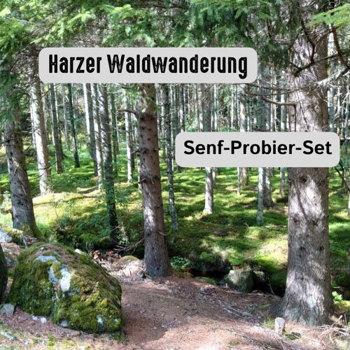Harzer Waldwanderung - Probier-Senf-Set