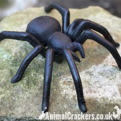 Grande sculpture décorative en fonte massive de 15 cm en forme d'araignée pour les amoureux des insectes