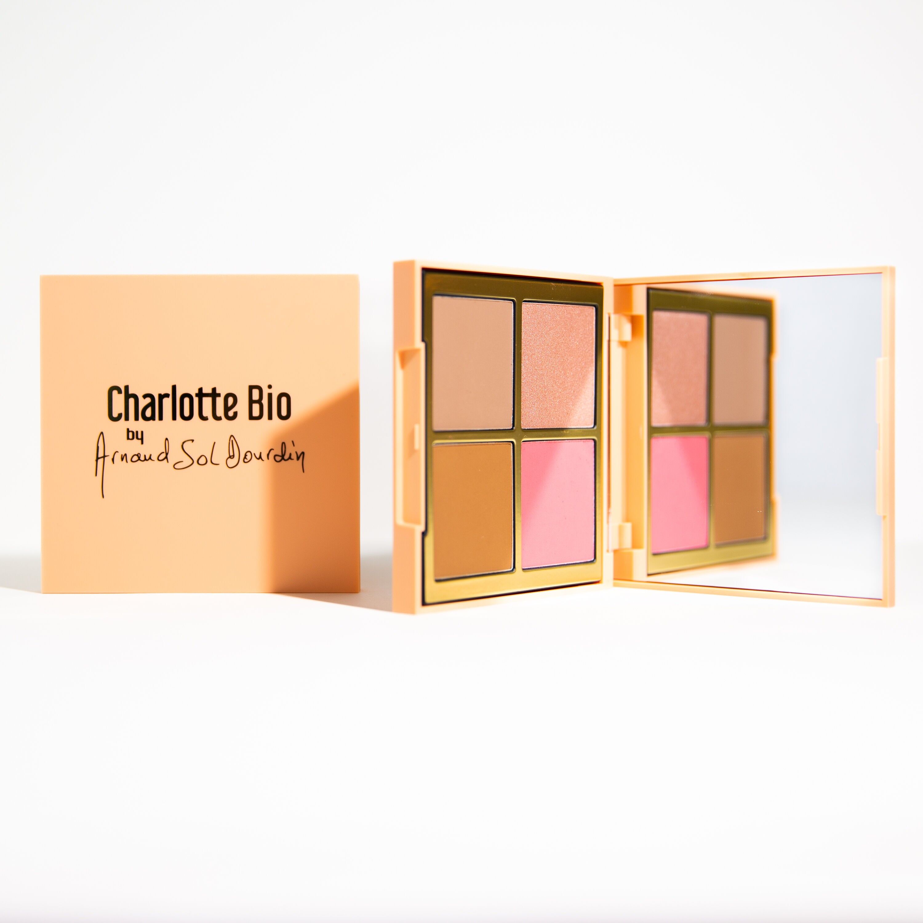 Good Mine Palette X Arnaud Sol Dourdin