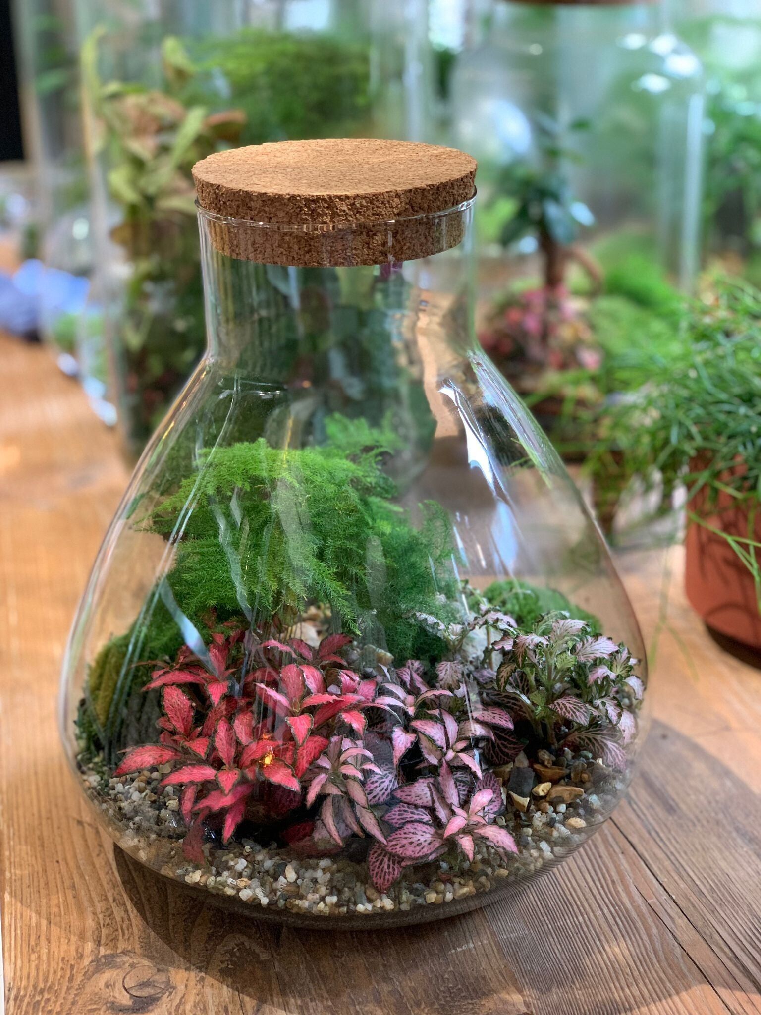 Masterclass Upgrade - LAB Jar