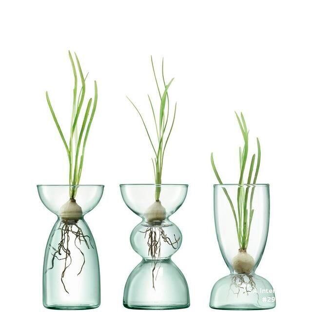 Vases Trio Canopy
