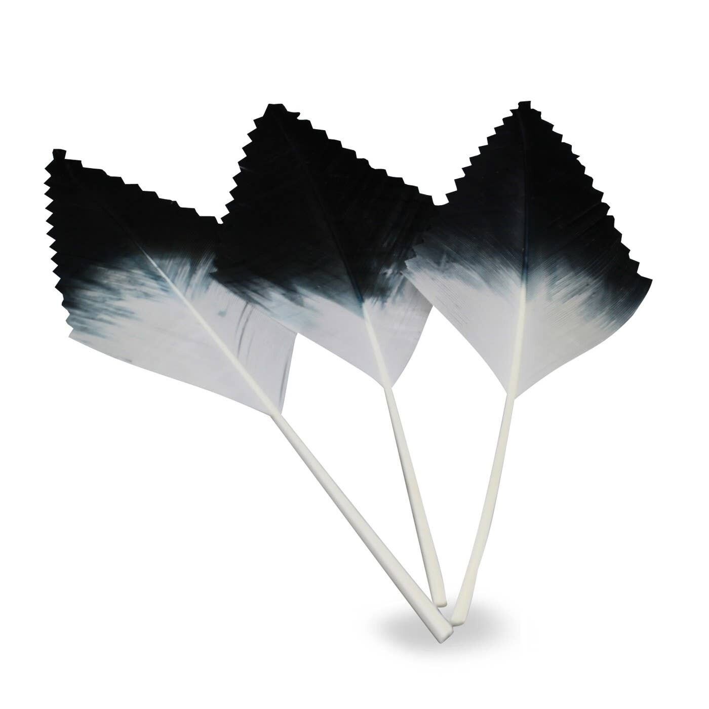 Kroonblad in veren - 10-12 cm x 5 cm - nero