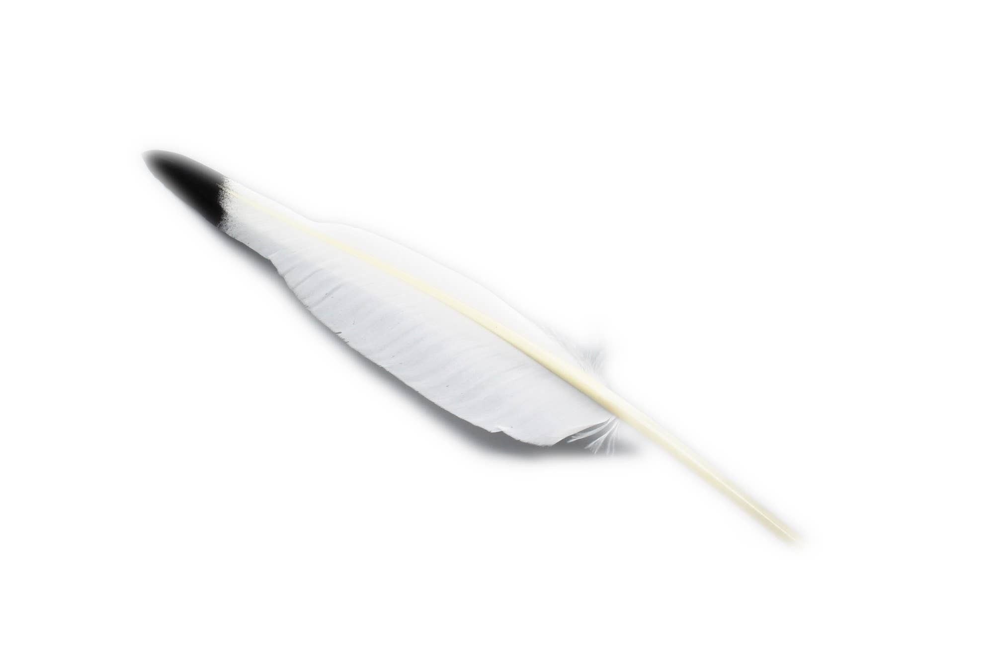 Smugde Veer Indiani 35cm