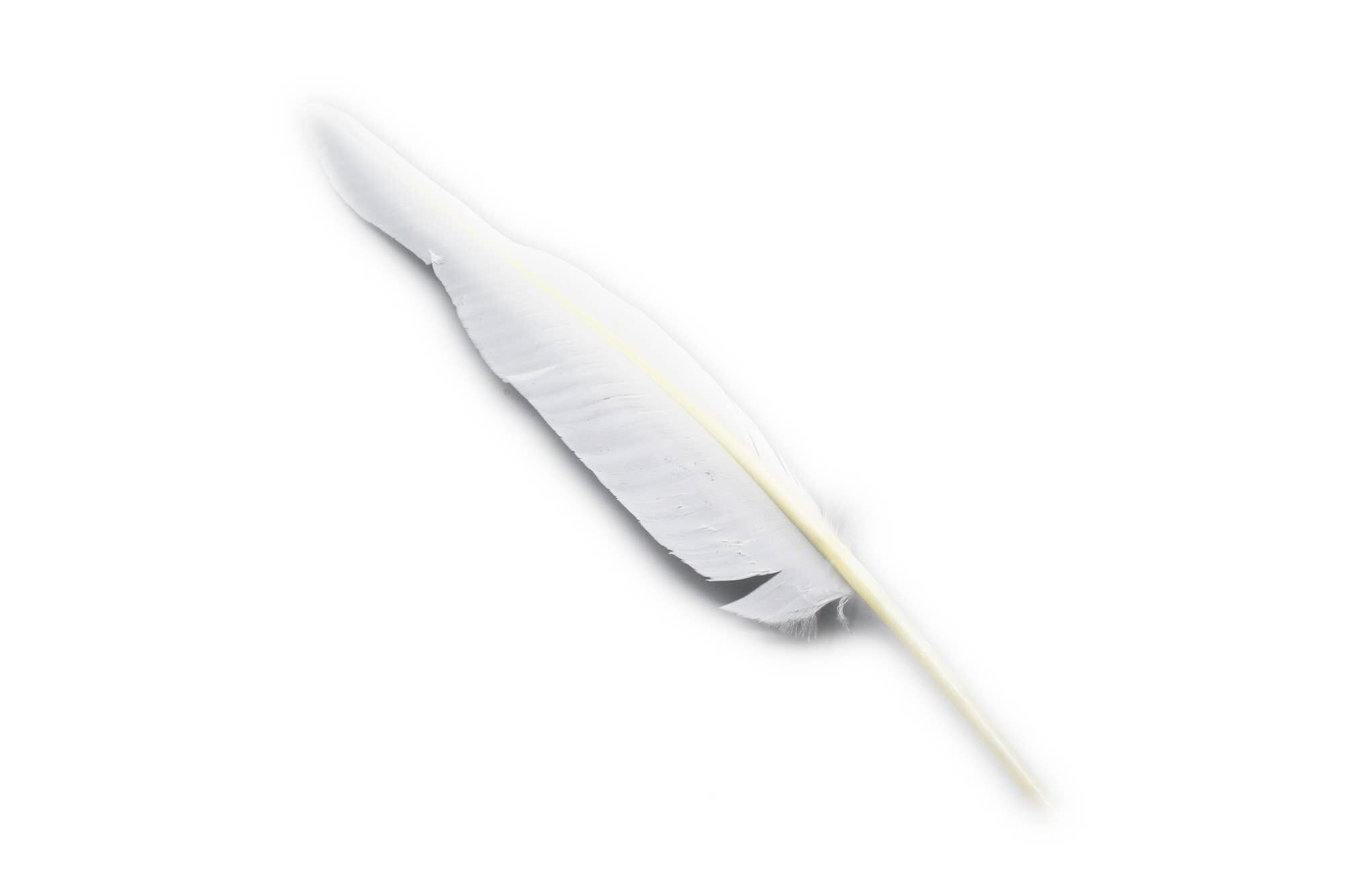 Smudge Veer con 35 cm