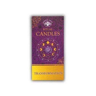 Paquete de 10 velas Green Tree Ritual Transformation