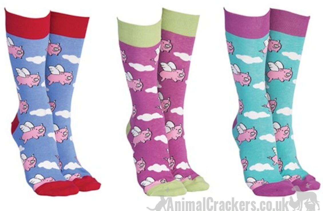 Calcetines con diseño de cerdo "Flying Pig" de colores brillantes y novedosos de Sock Society, unisex y de talla única, regalo/relleno de media de calidad para los amantes de los cerdos