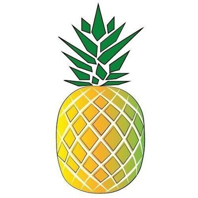 HAUSHALTSSCHWAMM CCA54-ANANAS