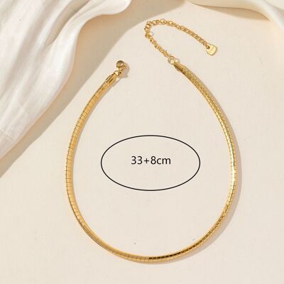 Collar de Acero Inoxidable 25CA242