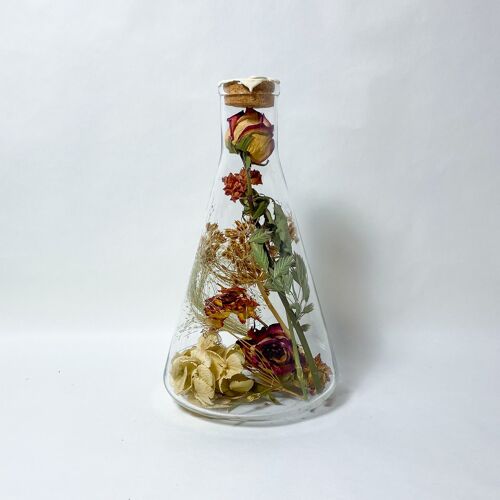 Dried Flower Decoration in Glass  Kibo 2000 white wax