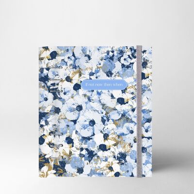 Pintura EcoPlan Azul