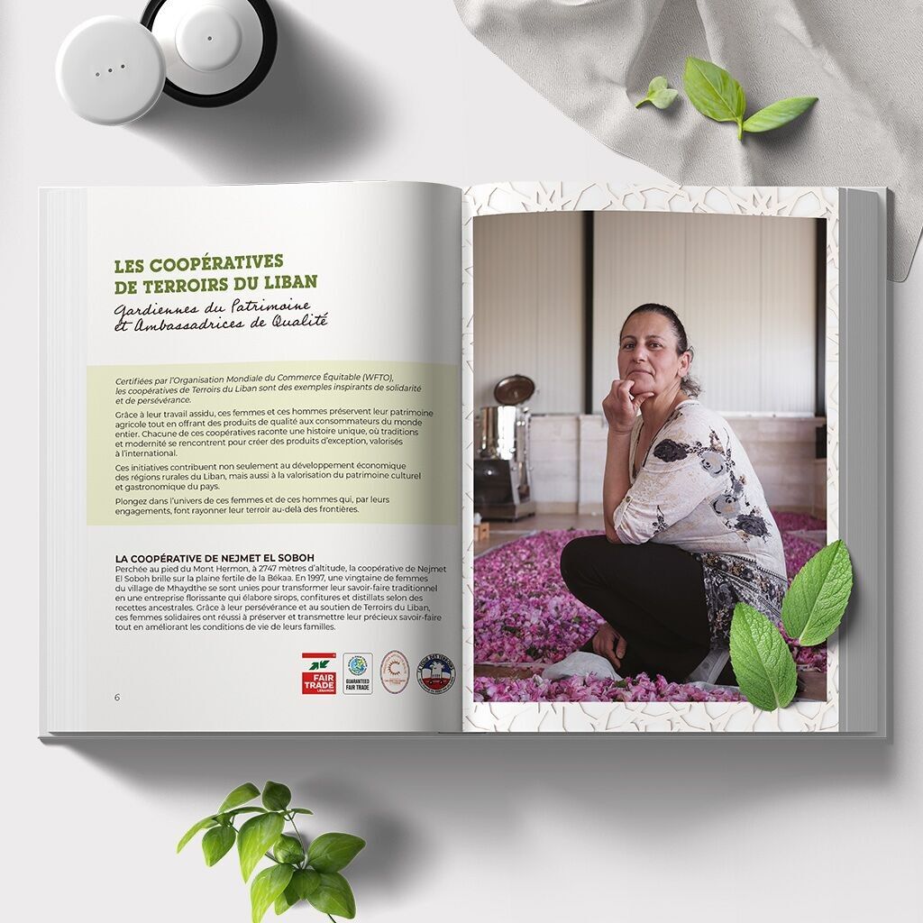 Terroirs du Liban - Ma Cuisine aux Saveurs Libanaises - Livre de cuisine