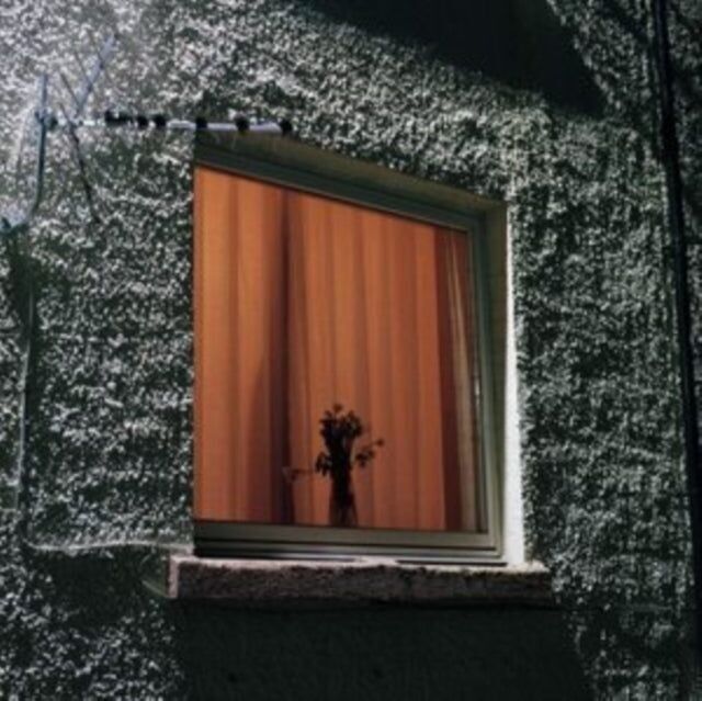 Wyldest LP - Ami mensuel