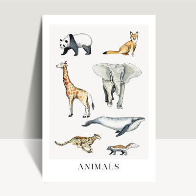 A3 ANIMALS POSTER