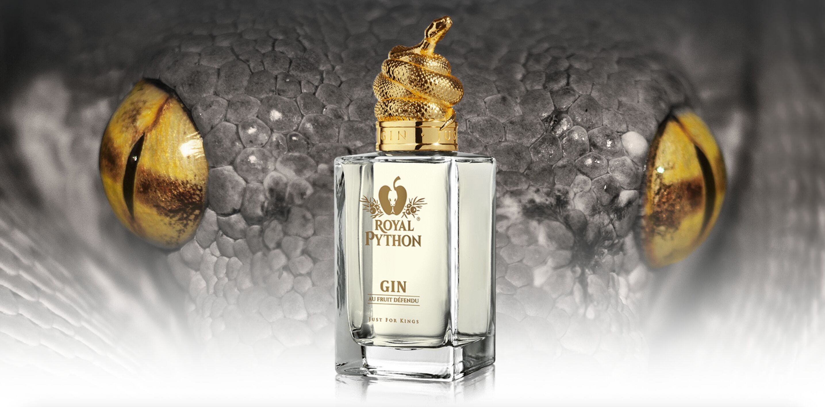 Gin Python King Spirit