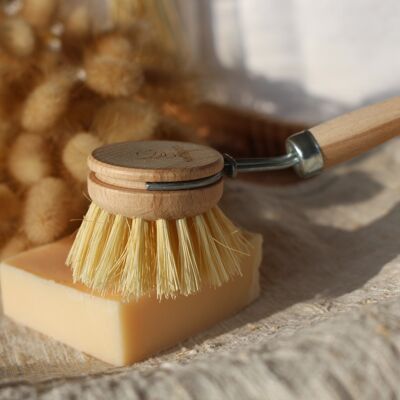 Dish brush with exchangeable head