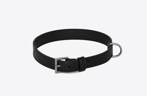 ceinture chien