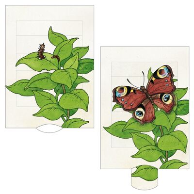Carte vivante "papillon"