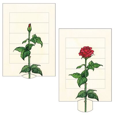 Living card "Rose"