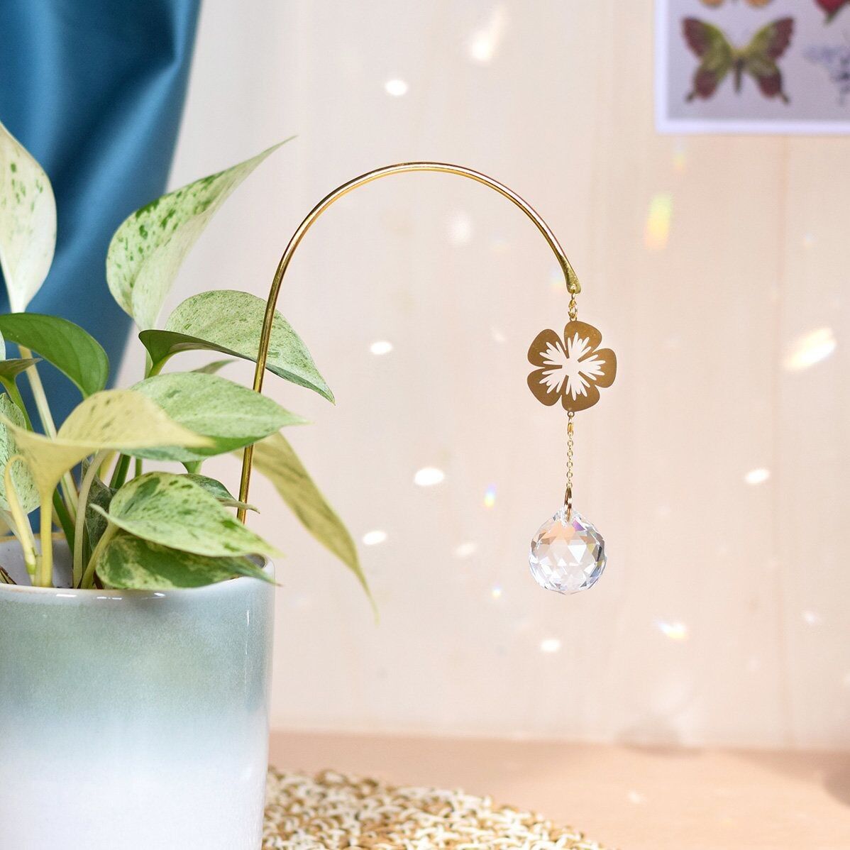 Acchiappasole per piantare Flora