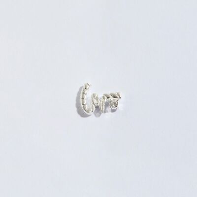 Boucles d'oreilles à tige en argent avec sténographie adorée