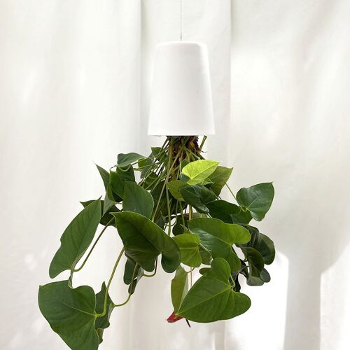 Sky Planter Recycled, Large 15cm White - self-watering hanging planter