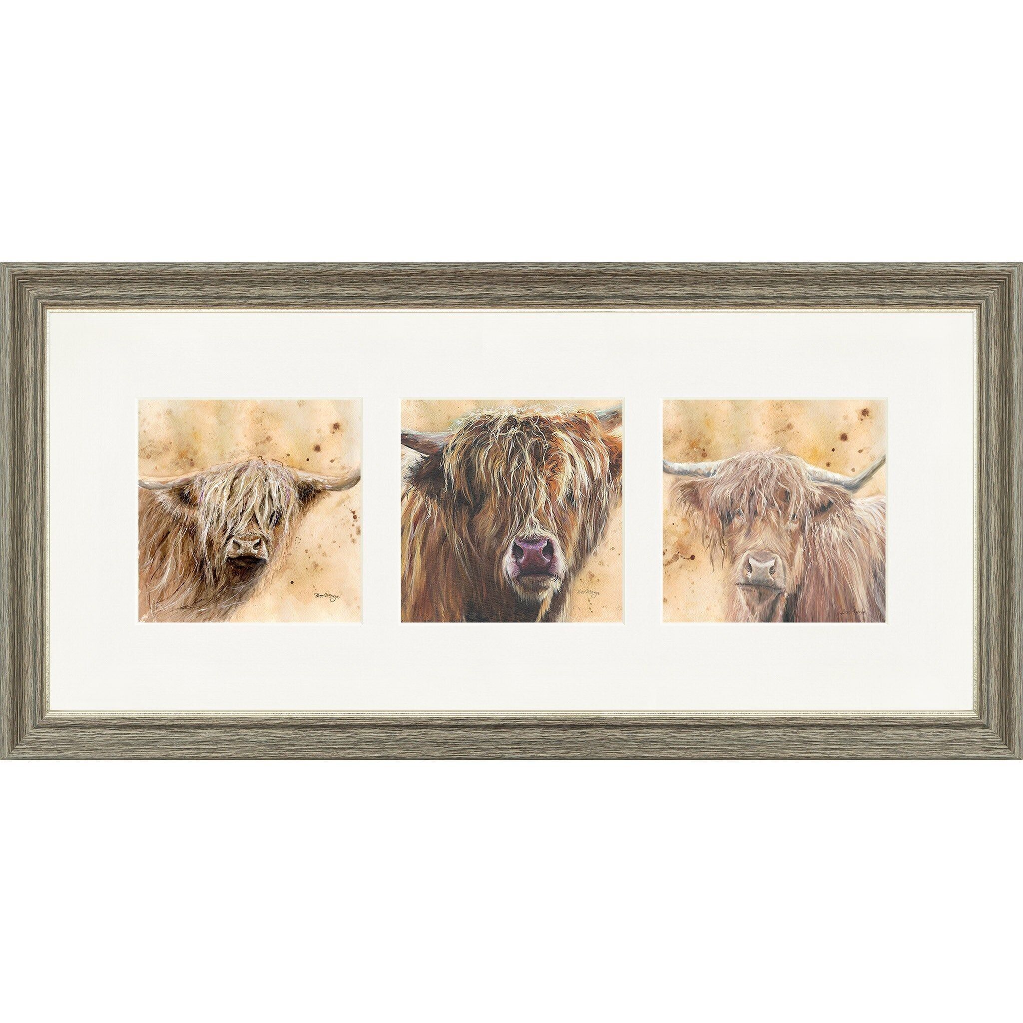 Triptyque Coos coloré encadré