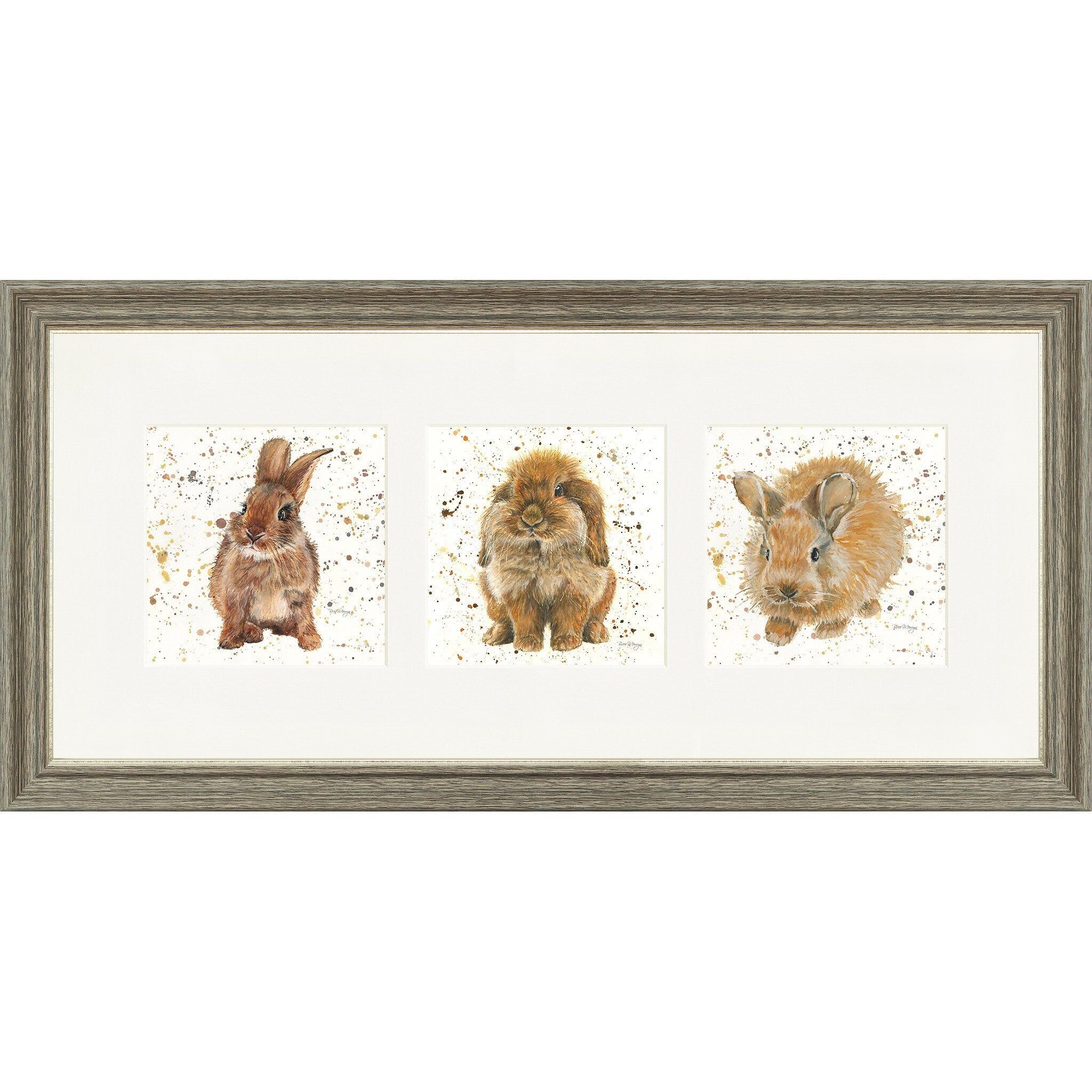The Bunnies Triptych Framed Print