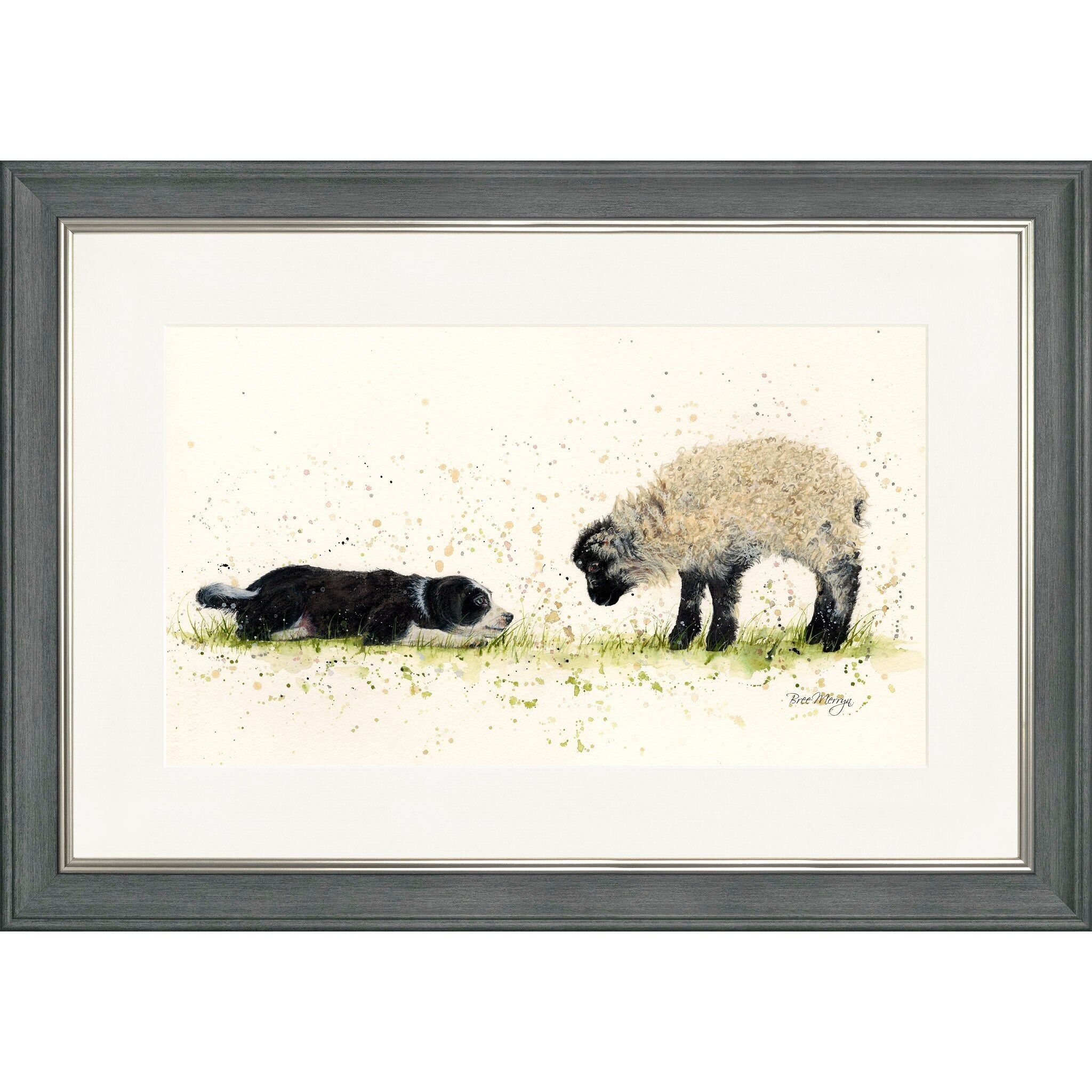 Schön, Ewe kennenzulernen, rechteckiger gerahmter Druck