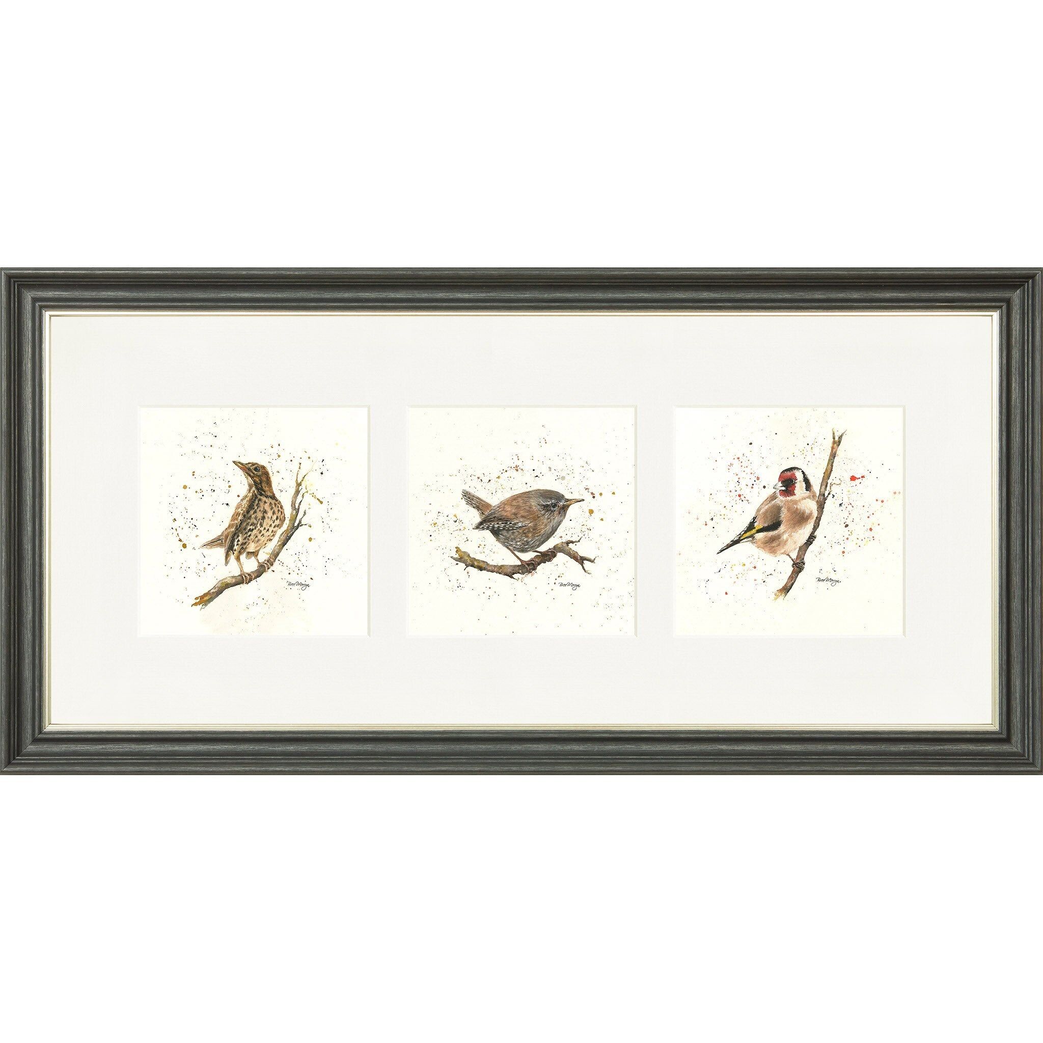 Bird Life Triptych Framed Print