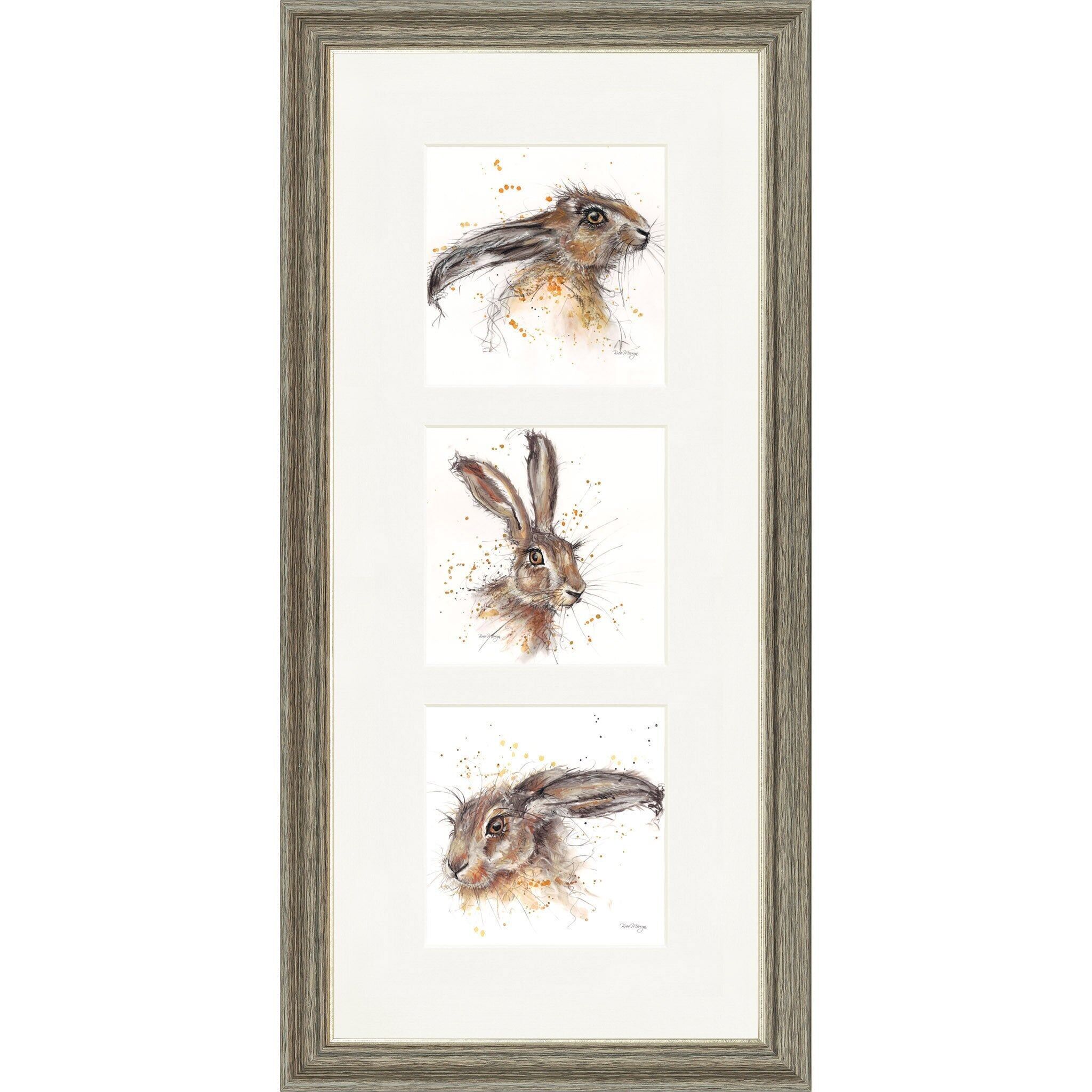 Hare Raisers Triptych Framed Print