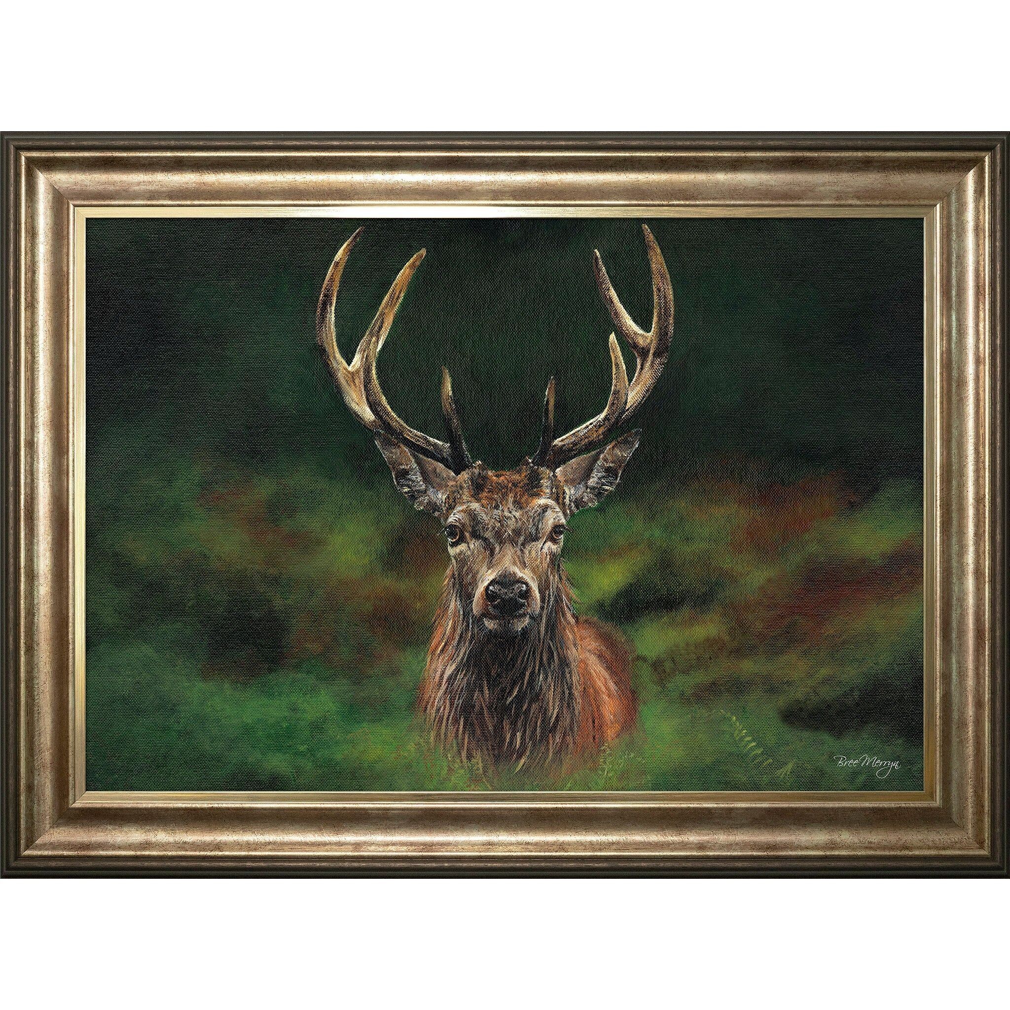 Stampa incorniciata della firma di Scott