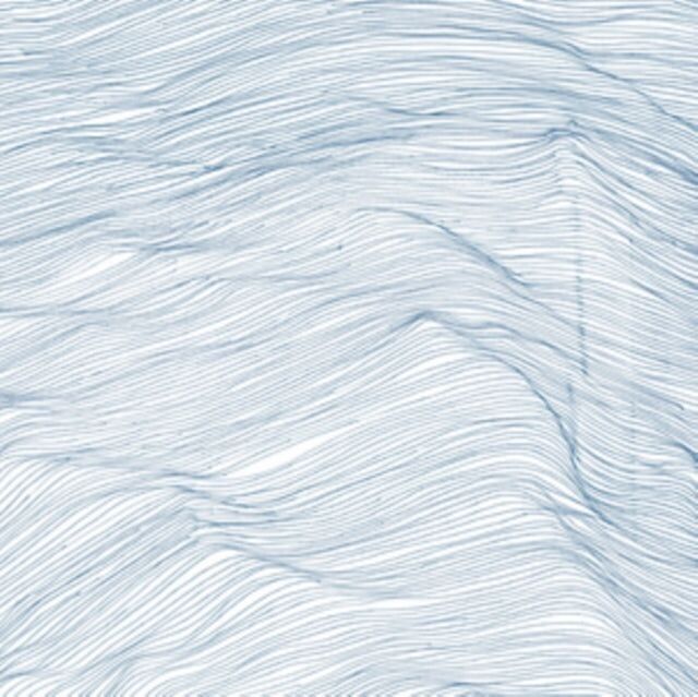 Qasim Naqvi Wadada Leo Smith LP - Dos siglos