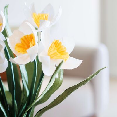 Narcisse en papier jaune et blanc